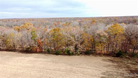Tiny photo for 2 Polston LN, Marthasville, MO 63357 (MLS # 25077438)