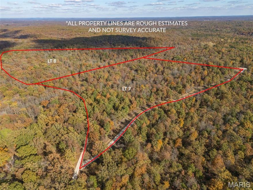 New roads! New Survey! lot 7of 13 lots to come.  Each lot is 25+ acres with roads and new survey. If your looking for a place to build or develop this is the place! Gently rolling hills in what used to be farmland. Come check it out, bring your plans !