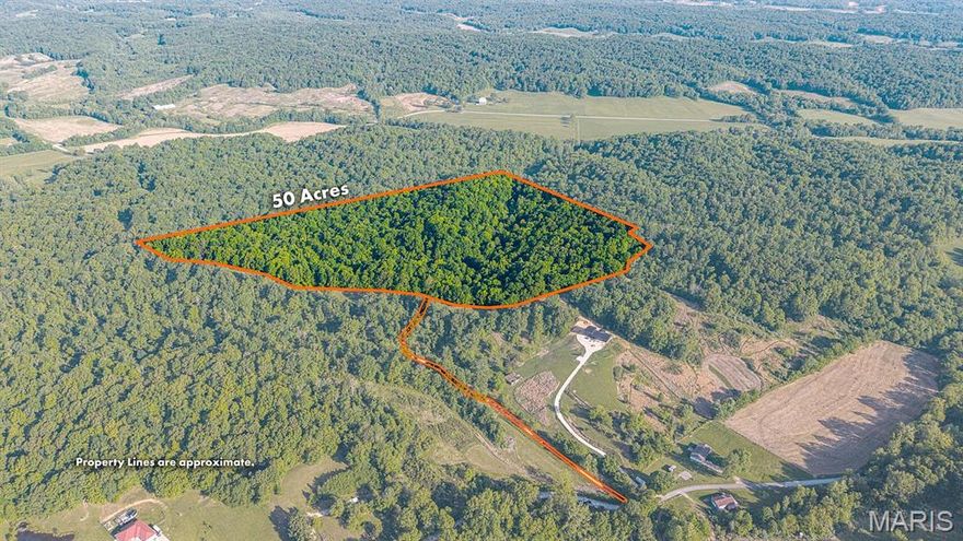 Discover the perfect balance of seclusion and convenience on this stunning 50-acre timber tract in Cape Girardeau County. For the hunter or outdoorsman who understands that the best land is also the best investment, this tract is a rare find. Tucked into the hills of Oriole, Missouri, this property sits just over the ridge from the Mississippi River and Trail of Tears State Park, placing you in one of the most productive wildlife corridors in the region. Whether you're chasing trophy longbeards in the spring or waiting on a heavy-racked buck in November, this ground is a proven producer.

This isn't just a patch of woods; it’s a high-quality stand of tall timber. From a sportsman’s perspective, these hardwoods provide a massive mast crop to keep game on the property year-round. From an investor’s perspective, the standing timber represents significant "banked" value that continues to grow alongside the land’s natural appreciation. Whether you're looking for a weekend escape or a permanent residence, you are only 20–25 minutes from the heart of Cape Girardeau. This land is a sportsman’s stronghold, boasting heavy timber cover and wet-weather creeks that serve as a natural travel corridor for trophy whitetail deer and wild turkey. Enjoy an interior trail already in place to allow for more time in the stand. Beyond your own borders, you’ll enjoy nearby access to the extensive hiking and equestrian trails, fishing, and breathtaking river overlooks that make this region a destination for outdoor enthusiasts.

Practicality meets privacy with a dedicated 18’ wide easement and an established gravel driveway leading to a cleared landing—perfectly positioned for a hunting camp, off-grid cabin, or a permanent estate. With multiple potential build sites and nearby utility access, this land is ready to be transformed into a permanent private sanctuary. The rising demand for large acreage near Cape Girardeau makes this a rock-solid addition to any land portfolio.

Property Highlights:
Gated & gravel driveway ensuring privacy 
Acreage: 50 +/- acres of quality timber with future harvest value
Prime Hunting: Located in a top-tier deer and turkey corridor near the Mississippi River
Wet-weather creek/run-off serving as a natural wildlife funnel
Location: 20-25 mins to Cape Girardeau
Recreation:  Nearby at Trail of Tears State Park
Access: Private 18’ wide easement with interior trails
Setup: Cleared landing for base camp or custom application
Multiple ridge-top sites for a cabin or home with nearby utility potential
90 mins to St. Louis