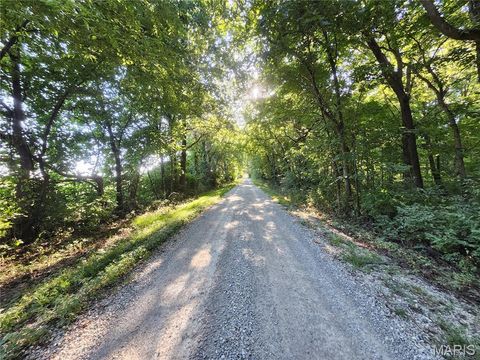 Tiny photo for 11 Missouri Lane, Bowling Green, MO 63334 (MLS # 25061503)