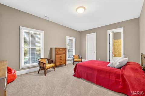 Tiny photo for 16906 Bottlebrush Court, Chesterfield, MO 63005 (MLS # 25025030)