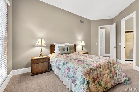 Tiny photo for 16906 Bottlebrush Court, Chesterfield, MO 63005 (MLS # 25025030)