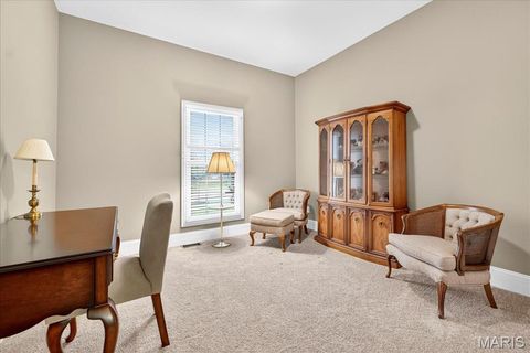 Tiny photo for 16906 Bottlebrush Court, Chesterfield, MO 63005 (MLS # 25025030)