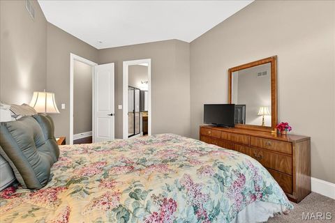 Tiny photo for 16906 Bottlebrush Court, Chesterfield, MO 63005 (MLS # 25025030)