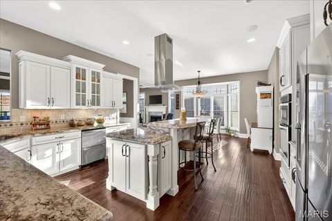 Tiny photo for 16906 Bottlebrush Court, Chesterfield, MO 63005 (MLS # 25025030)