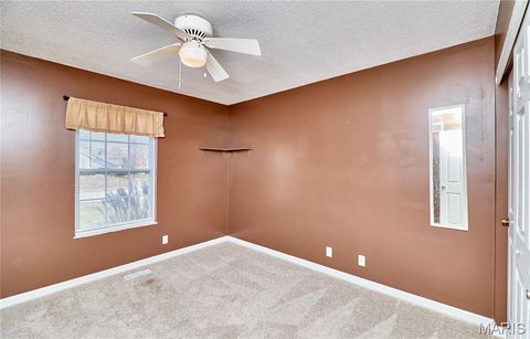 Tiny photo for 153 Gorget Drive, Troy, MO 63379 (MLS # 25076494)