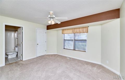 Tiny photo for 153 Gorget Drive, Troy, MO 63379 (MLS # 25076494)