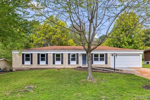 Photo of 815 Ariege Drive, Creve Coeur, MO 63141 (MLS # 25053560)