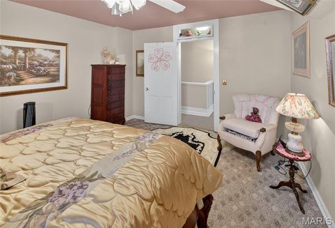 Tiny photo for 303 Dorothy Street, Sikeston, MO 63801 (MLS # 26018985)