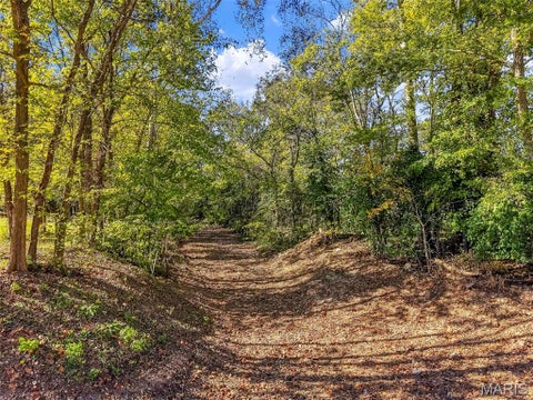 Tiny photo for 19550 State Highway U, Warrenton, MO 63383 (MLS # 26065636)