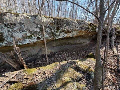 Tiny photo for 19550 State Highway U, Warrenton, MO 63383 (MLS # 26065636)