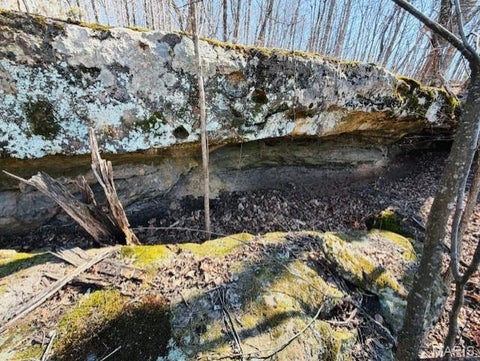 Tiny photo for 19550 State Highway U, Warrenton, MO 63383 (MLS # 26065636)