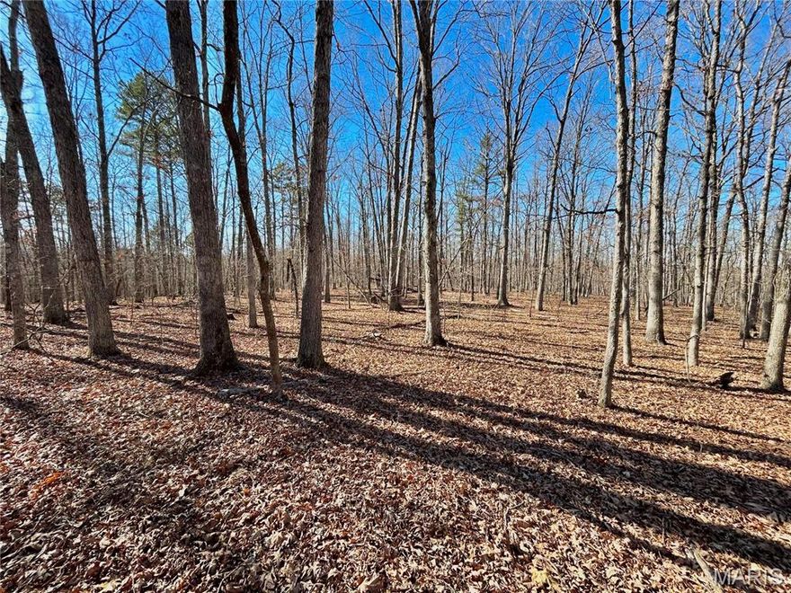Call to schedule your private showing today! This off grid 40.4 Acres is hidden 3/4 mile through United States forest land. Are you ready for deer camp? This is the big buck and turkey hunting hideaway! The land offers a large flat area perfect for your off grid cabin or camper. There is a good mix of Oaks and Pine trees that are mature and marketable timber. The land has some very unique features with rock outcroppings leading down to the creek that stretches through the valley. Do not hesitate to call!