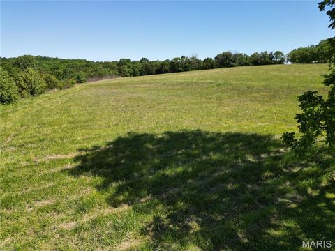 Tiny photo for 1055 Brush Creek Road, Union, MO 63084 (MLS # 25068499)