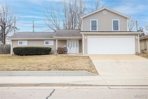 1114 N 5th Street Festus MO 63028