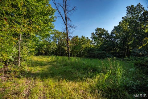 Tiny photo for 000 County Road 55, Belleview, MO 63623 (MLS # 26058788)