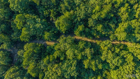 Tiny photo for 000 County Road 55, Belleview, MO 63623 (MLS # 26058788)
