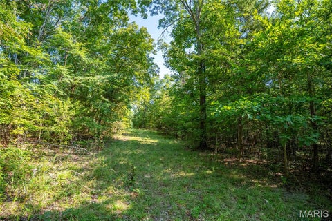 Tiny photo for 000 County Road 55, Belleview, MO 63623 (MLS # 26058788)