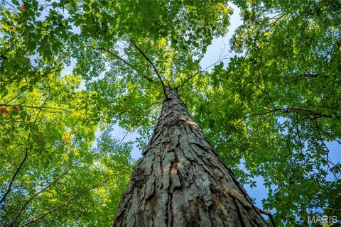 Tiny photo for 000 County Road 55, Belleview, MO 63623 (MLS # 26058788)