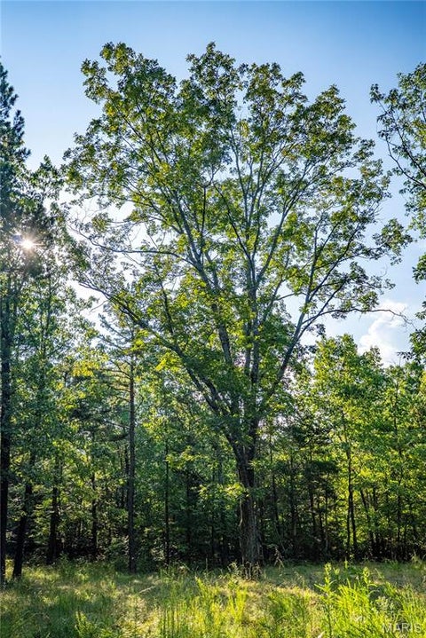 Tiny photo for 000 County Road 55, Belleview, MO 63623 (MLS # 26058788)