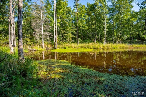 Tiny photo for 000 County Road 55, Belleview, MO 63623 (MLS # 26058788)