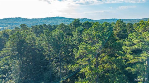 Tiny photo for 000 County Road 55, Belleview, MO 63623 (MLS # 26058788)