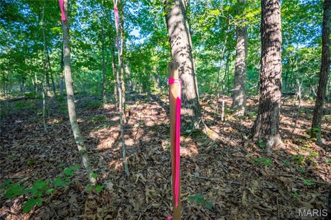 Tiny photo for 000 County Road 55, Belleview, MO 63623 (MLS # 26058788)