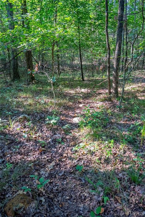 Tiny photo for 000 County Road 55, Belleview, MO 63623 (MLS # 26058788)