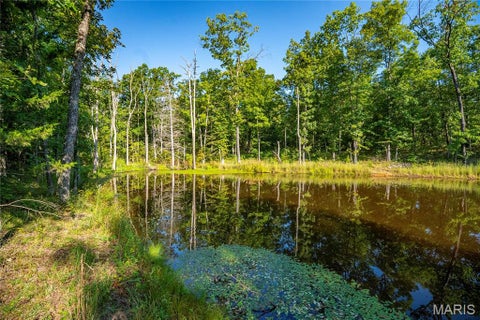 Tiny photo for 000 County Road 55, Belleview, MO 63623 (MLS # 26058788)
