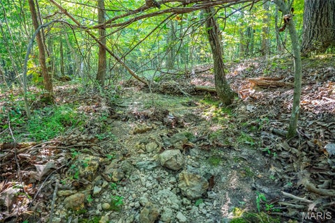 Tiny photo for 000 County Road 55, Belleview, MO 63623 (MLS # 26058788)