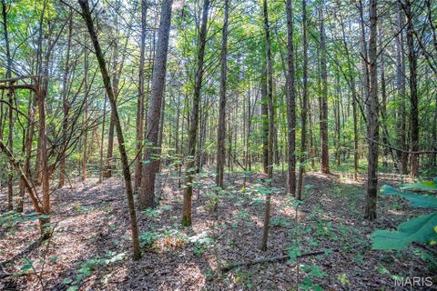 Tiny photo for 000 County Road 55, Belleview, MO 63623 (MLS # 26058788)
