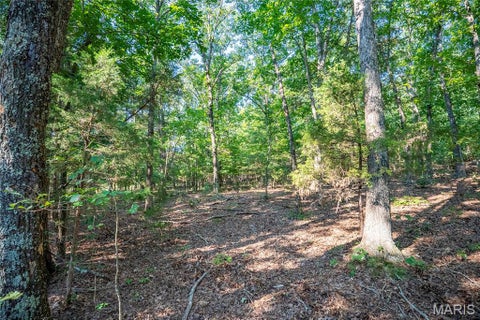 Tiny photo for 000 County Road 55, Belleview, MO 63623 (MLS # 26058788)