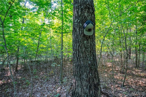 Tiny photo for 000 County Road 55, Belleview, MO 63623 (MLS # 26058788)
