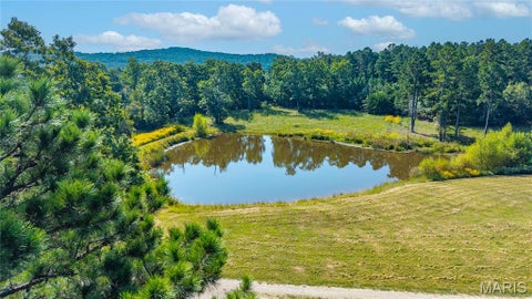 Tiny photo for 000 County Road 55, Belleview, MO 63623 (MLS # 26058788)