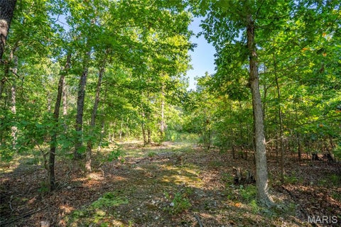Tiny photo for 000 County Road 55, Belleview, MO 63623 (MLS # 26058788)