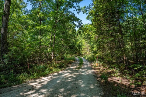 Tiny photo for 000 County Road 55, Belleview, MO 63623 (MLS # 26058788)