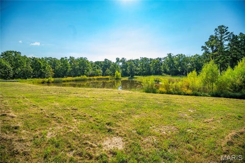 Tiny photo for 000 County Road 55, Belleview, MO 63623 (MLS # 26058788)