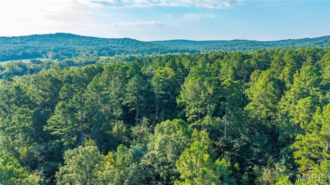 Tiny photo for 000 County Road 55, Belleview, MO 63623 (MLS # 26058788)