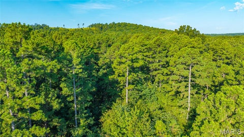 Tiny photo for 000 County Road 55, Belleview, MO 63623 (MLS # 26058788)