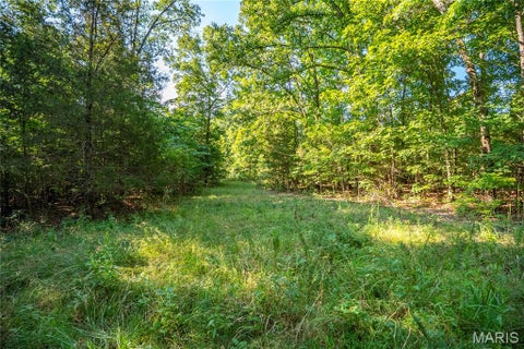 Tiny photo for 000 County Road 55, Belleview, MO 63623 (MLS # 26058788)