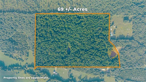 Tiny photo for 000 County Road 55, Belleview, MO 63623 (MLS # 26058788)