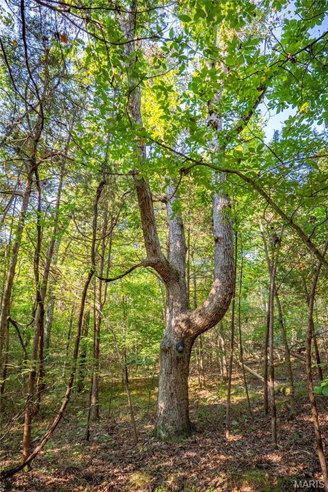 Tiny photo for 000 County Road 55, Belleview, MO 63623 (MLS # 26058788)