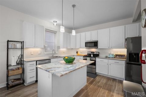 Tiny photo for 2134 Nebraska Avenue, St Louis, MO 63104 (MLS # 26019198)