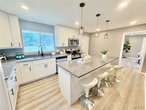 Tiny photo for 5180 Ambs Road, St Louis, MO 63128 (MLS # 26012293)