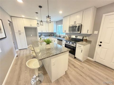 Tiny photo for 5180 Ambs Road, St Louis, MO 63128 (MLS # 26012293)