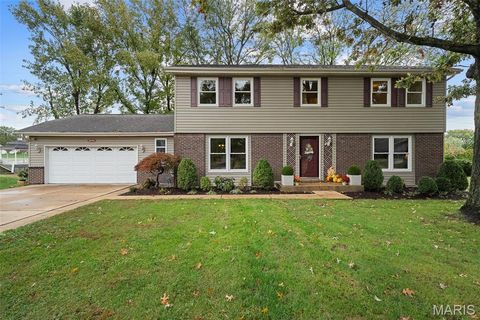 Photo of 16094 Meadow Oak Drive, Chesterfield, MO 63017 (MLS # 25072864)