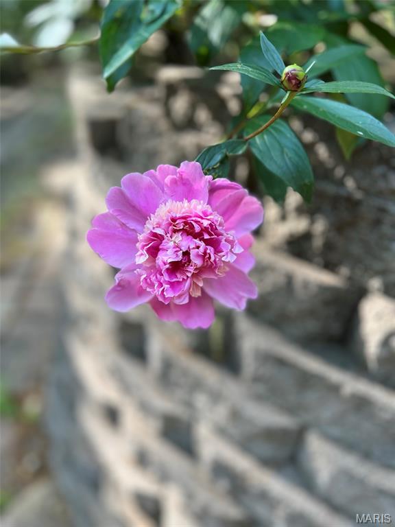 Ridge Road Farms - Residential