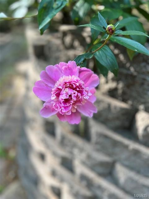 Tiny photo for 1315 Ridge Road, Wildwood, MO 63021 (MLS # 26003665)