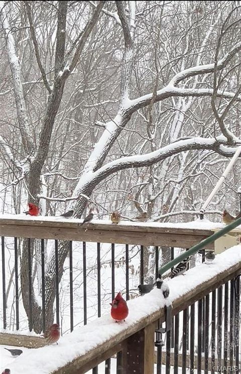 Tiny photo for 1315 Ridge Road, Wildwood, MO 63021 (MLS # 26003665)