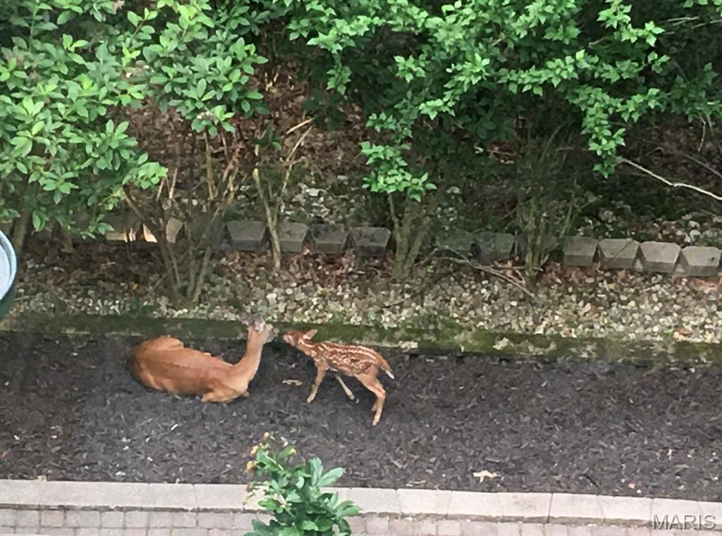 Ridge Road Farms - Residential